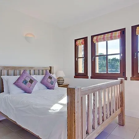 Villa Flores - Alma Verde